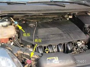 汽车加氟打多少